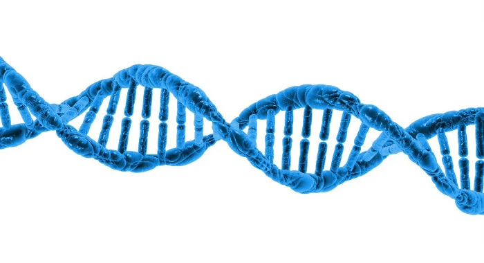 Structure of an NDA