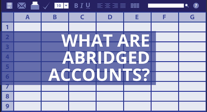 What Are Abridged Accounts?