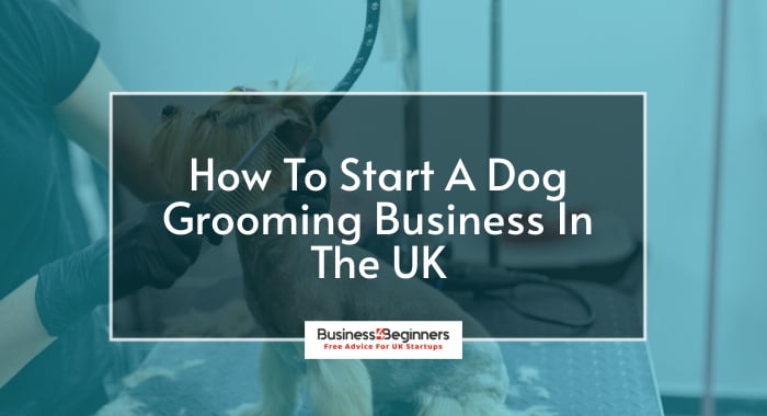 How To Start A Dog Grooming Business In The UK